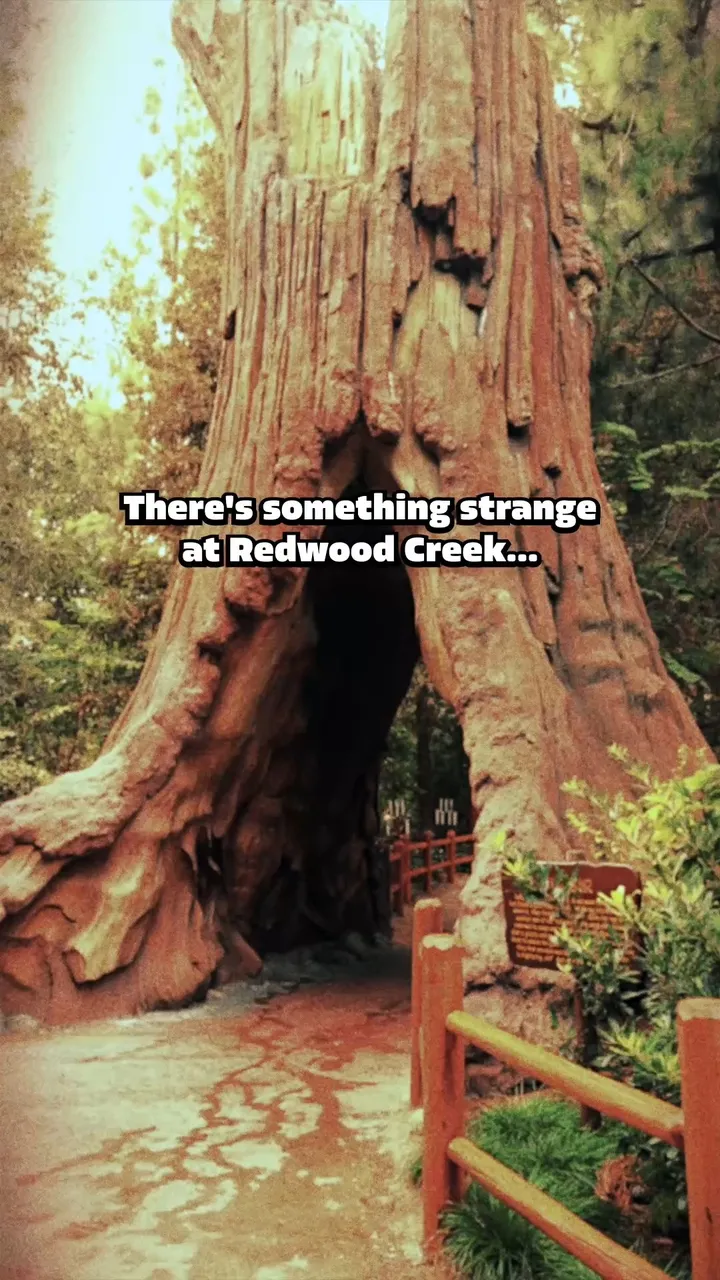 Mystery or mischief? Tag a paranormal expert in the comments and let’s get to the bottom o