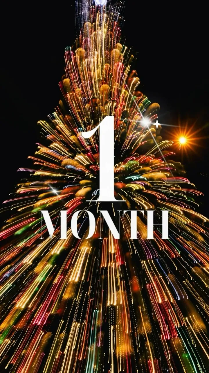 We are ONE month away from Wintrust Winter WonderFest! This holiday tradition returns Nove
