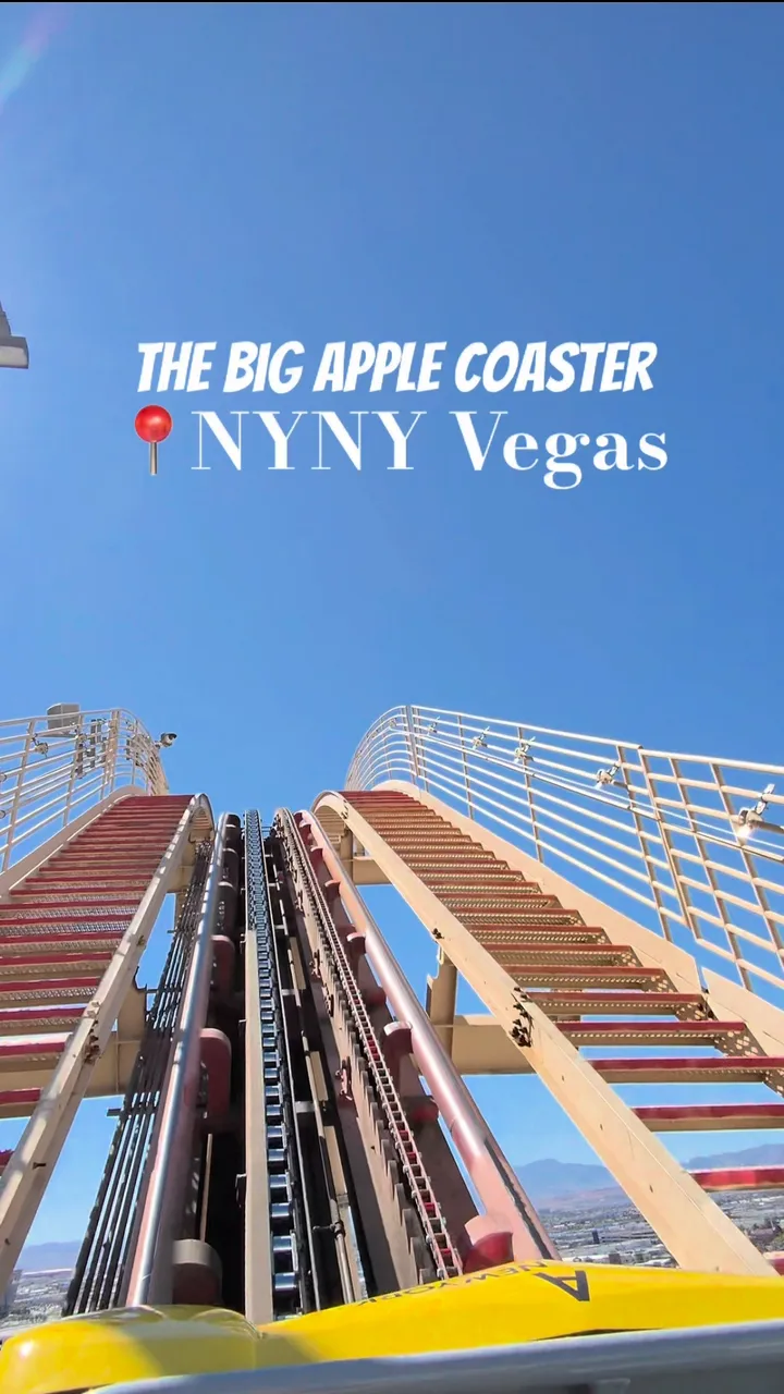 Be honest: Are you talking the whole ride or too busy screaming?