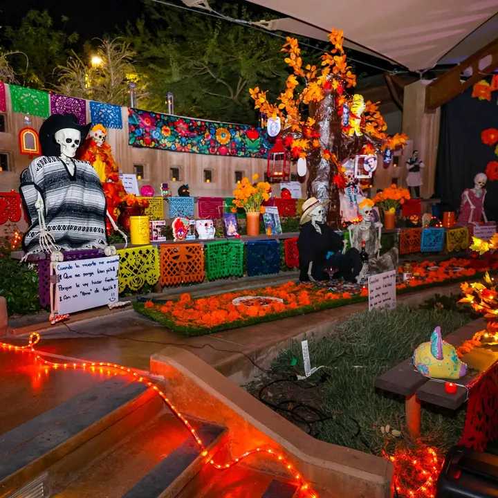 🎉 Día de Muertos at Springs Preserve is almost here! From Nov. 6-8, come honor the ones w