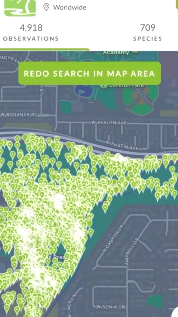 🌿🐦🐞 From native plants to wildlife sightings, the Springs Preserve is a hotspot for nat