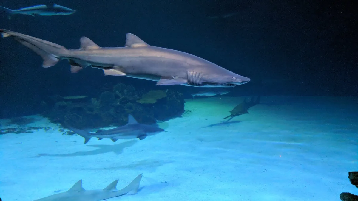 Shark Reef & Seascape Ballroom exhibit halls and ballroom capacities