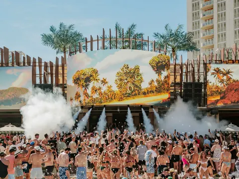 Palm Tree Beach Club dispatch by @palmtreebeachclub