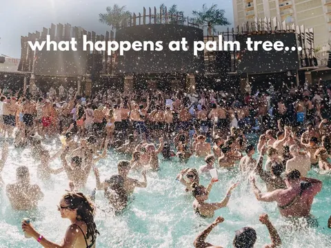 Palm Tree Beach Club dispatch by @palmtreebeachclub